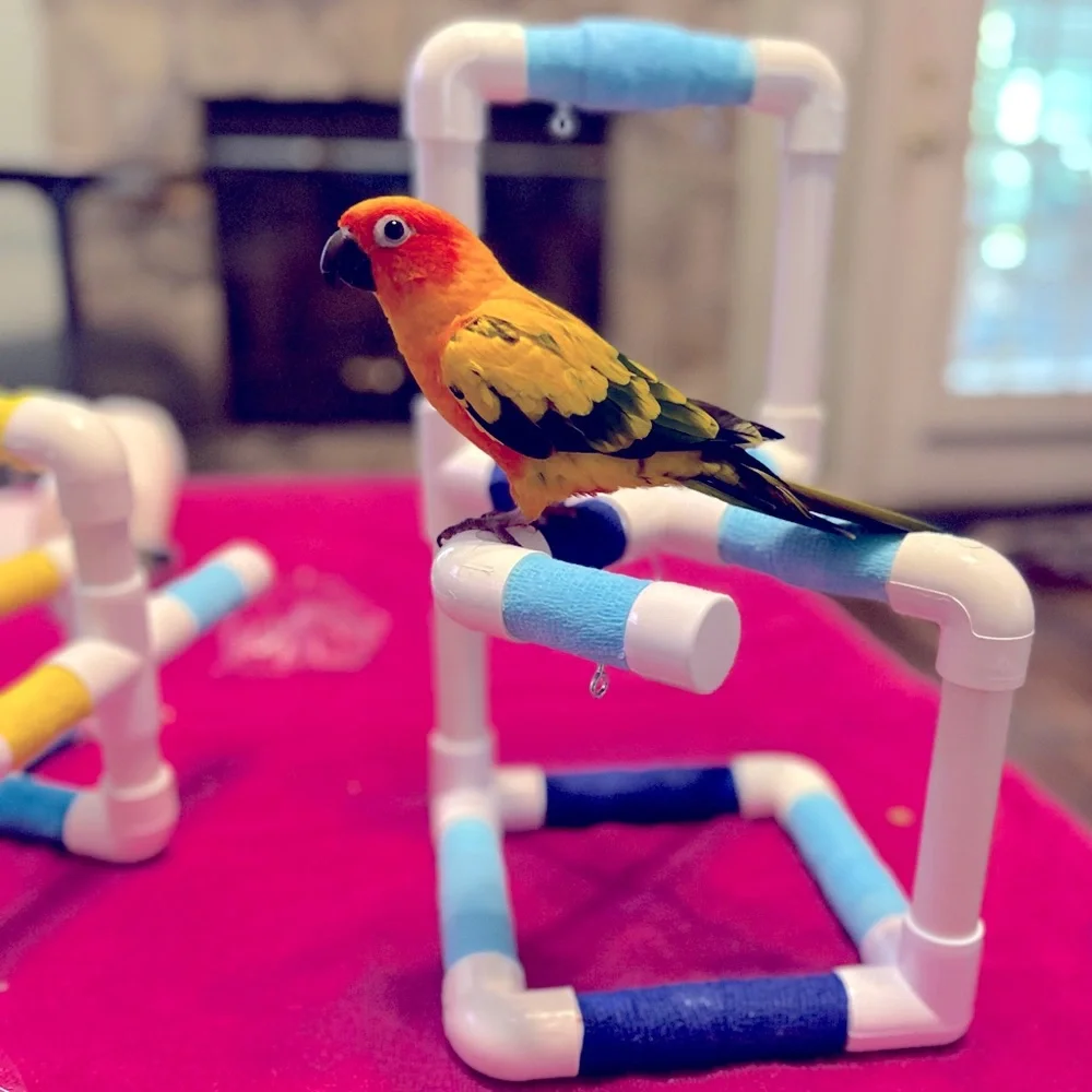 Handmade Bird Perch/Play gym